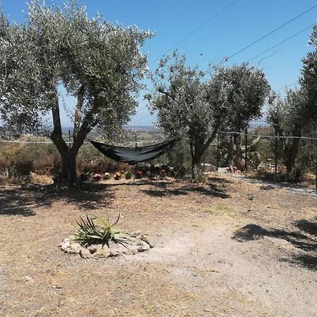 לנטיני Villa Emma Con Panorama Etna A 10 Minuti Dal Mare מראה חיצוני תמונה